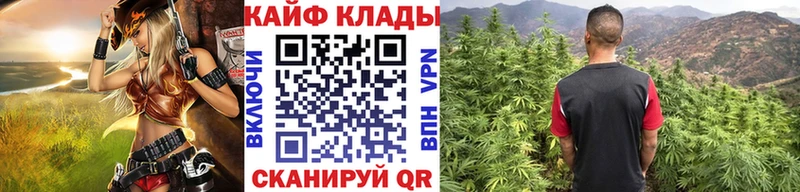 Купить наркотики цена Сунжа Cocaine  APVP  Каннабис 