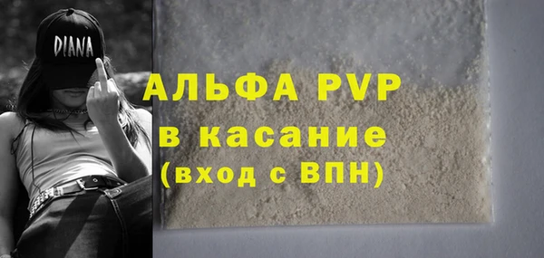 индика Балабаново