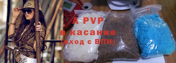 PSILOCYBIN Балахна
