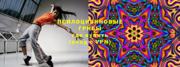 индика Балабаново