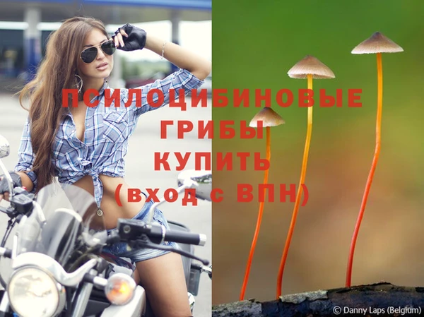 PSILOCYBIN Балахна