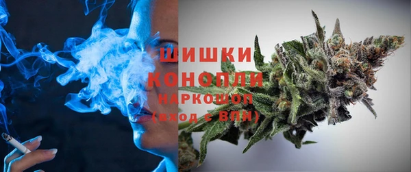 PSILOCYBIN Балахна