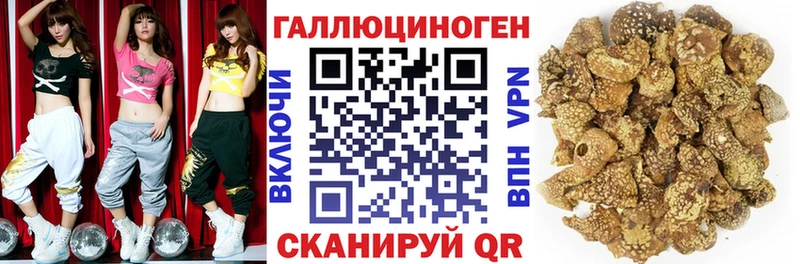 Псилоцибиновые грибы мухоморы  где купить наркоту  Сунжа 