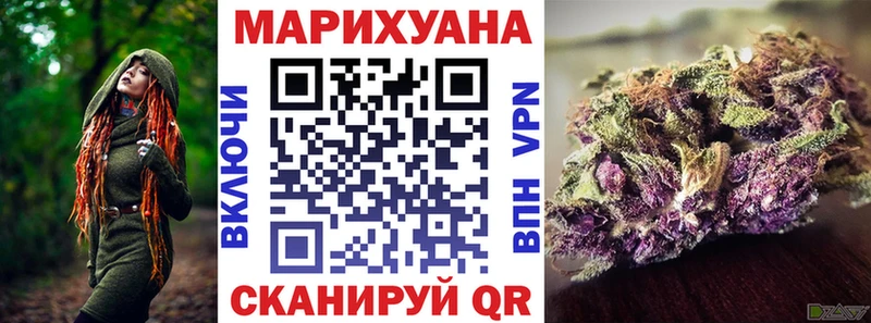 Канабис индика  Сунжа 